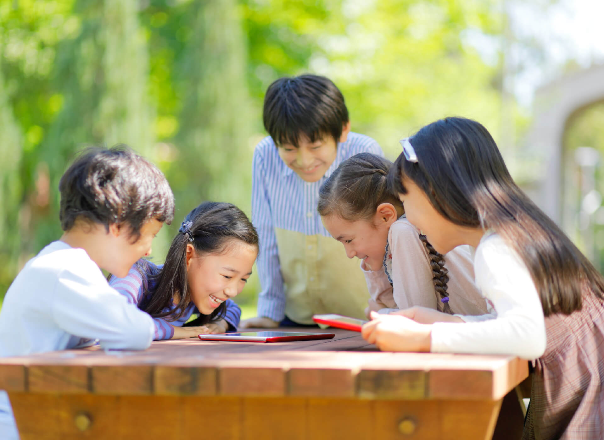 聖隷クリストファー小学校 聖隷クリストファー小学校